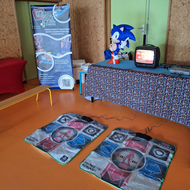 Animation jeu vidéo pour Centre de Loisirs Animation jeu vidéo pour Centre de Loisirs